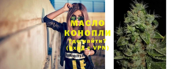 сатива Балахна
