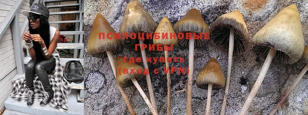 гидропоника Баксан