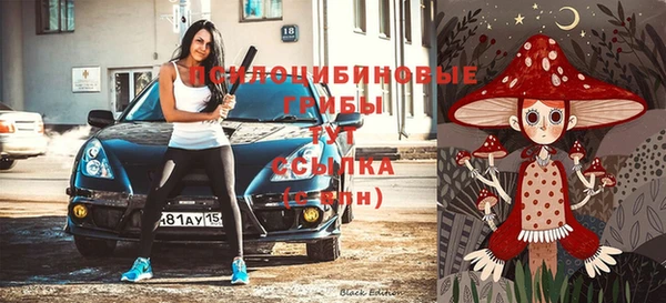 сатива Балахна