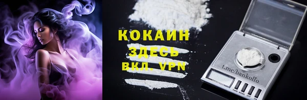 хмурый Богородицк