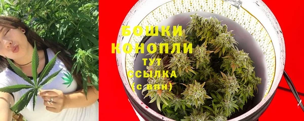 прущие крисы Вязники