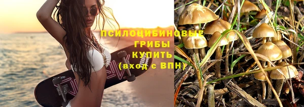 дживик Богданович