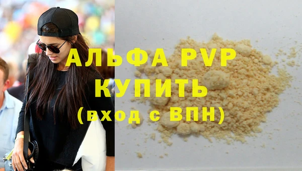 сатива Балахна