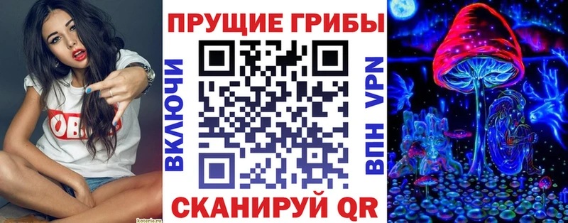 Псилоцибиновые грибы Psilocybe  МЕГА   Белорецк 